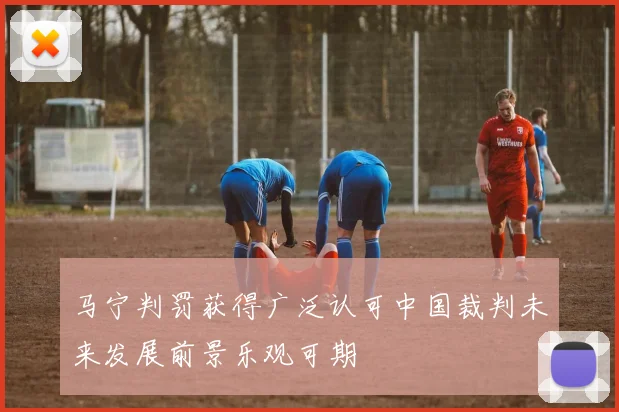 马宁判罚获得广泛认可中国裁判未来发展前景乐观可期
