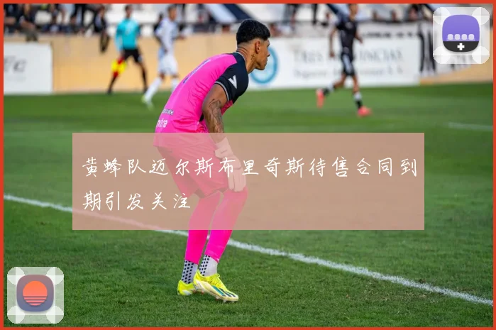 黄蜂队迈尔斯布里奇斯待售合同到期引发关注